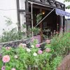 お弁当におやつ、「カフェキッチン 薫風」はよりどりみどり