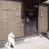 モーニング、それともランチ？「ベルコーヒー」で過ごす朝
